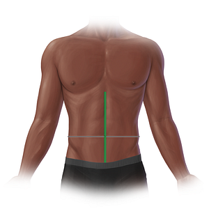 Anterior median line (#20720)