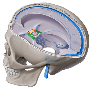 Cavernous sinus (#9002)