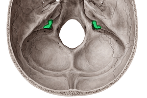 Jugular foramen (#3748)