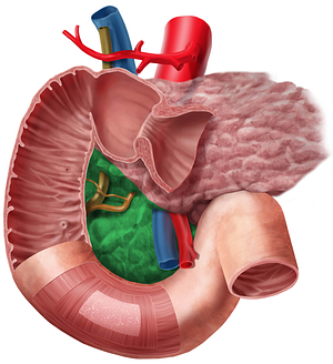 Head of pancreas (#2436)