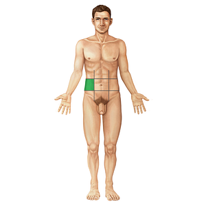 Right lateral region of abdomen (#19670)