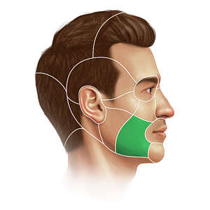 Buccal region (#20670)