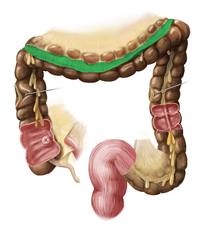 Greater omentum (#7323)