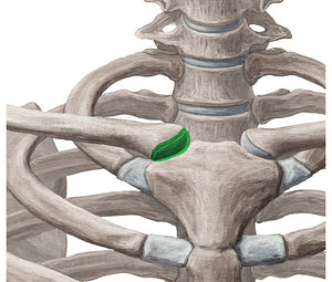 Plane joint (#13025)