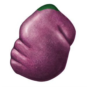 Posterior extremity of spleen (#3440)