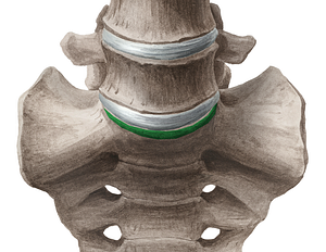 Promontory of sacrum (#8371)