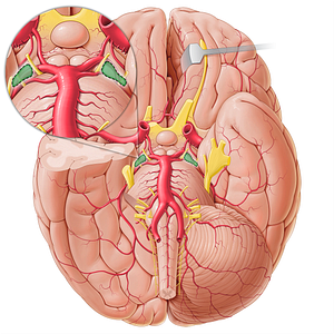 Ambient cistern (#21417)