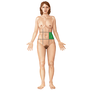 Left lateral region of abdomen (#19668)