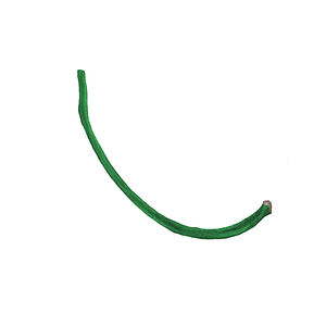 Body of 11th rib (#461)