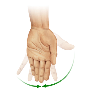 Adduction of fingers (#11007)