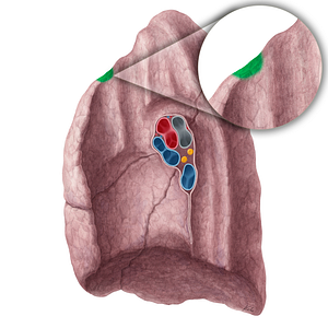 Impression for 1st rib of right lung (#21324)