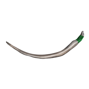 Neck of 11th rib (#21729)