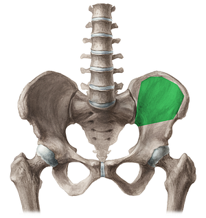 Iliac fossa (#3853)
