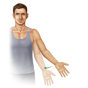 Adduction of arm (#11006)