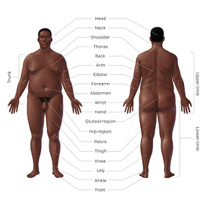 Regions of the body - Black male (English)