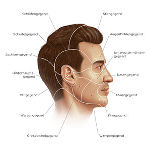 Regions of the head and face (German)