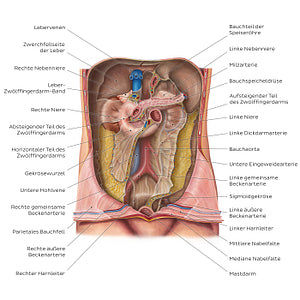 Retroperitoneum (German)