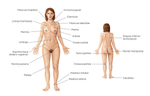 Female body surface anatomy (Portuguese)