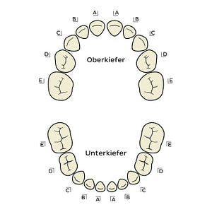 Palmer Notation (deciduous teeth) (German)