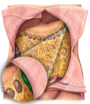 Left colic flexure (#3698)