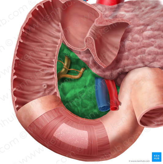 Head of pancreas (#2439)