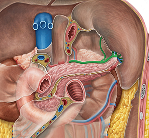 Splenic artery (#1805)