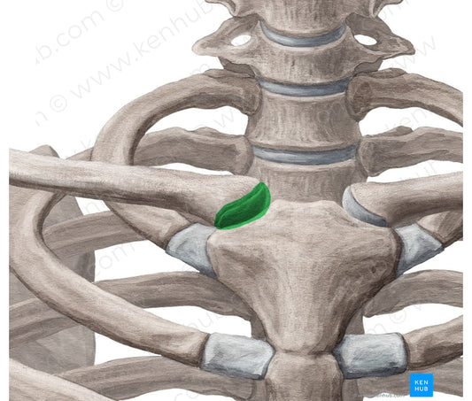 Plane joint (#13025)