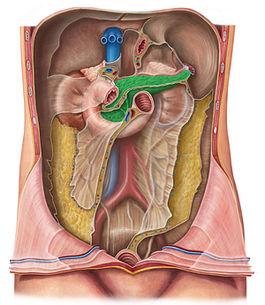 Pancreas (#7610)