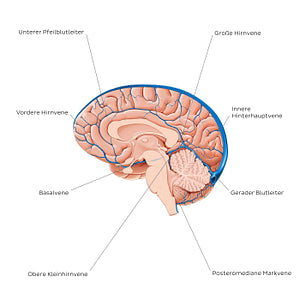 Cerebral veins - Medial view (German)
