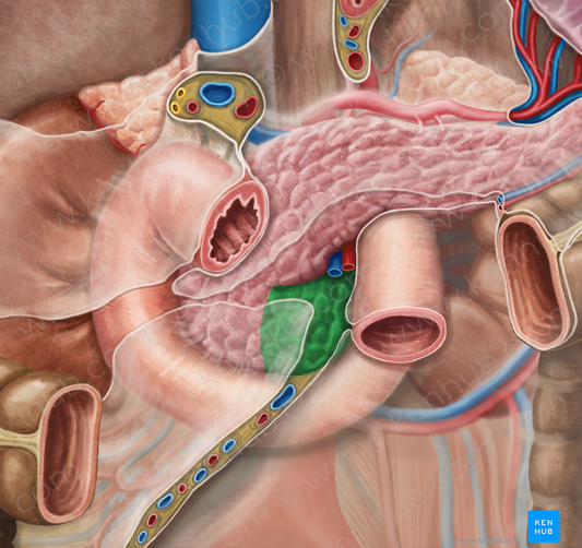 Uncinate process of pancreas (#8355)