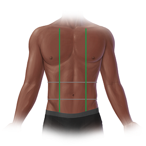 Midclavicular line (#20718)