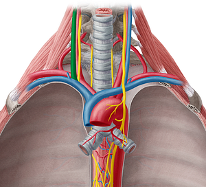 Right internal jugular vein (#10371)