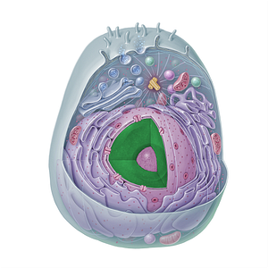 Chromatin (#15314)