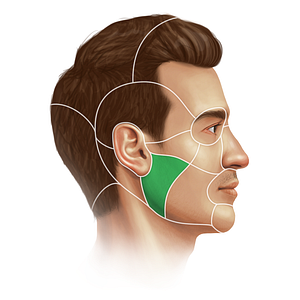 Parotideomasseteric region (#20680)