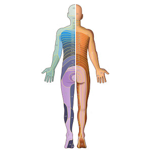 Dermatomes: Foerster/Keegan and Garrett map - Posterior (German)