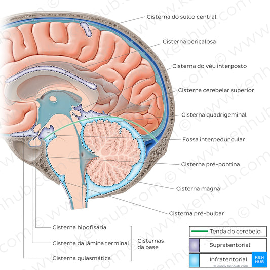 Subarachnoid cisterns of the brain (Sagittal) (Portuguese)