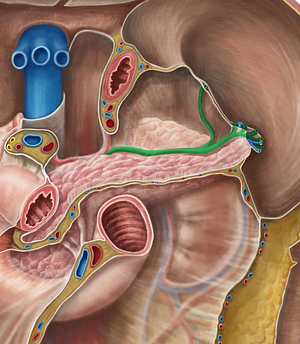 Splenic artery (#1797)