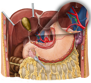 Hepatic lymph nodes (#7005)