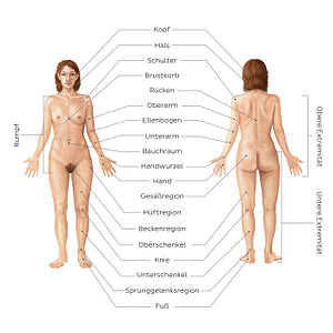 Regions of the body (German)