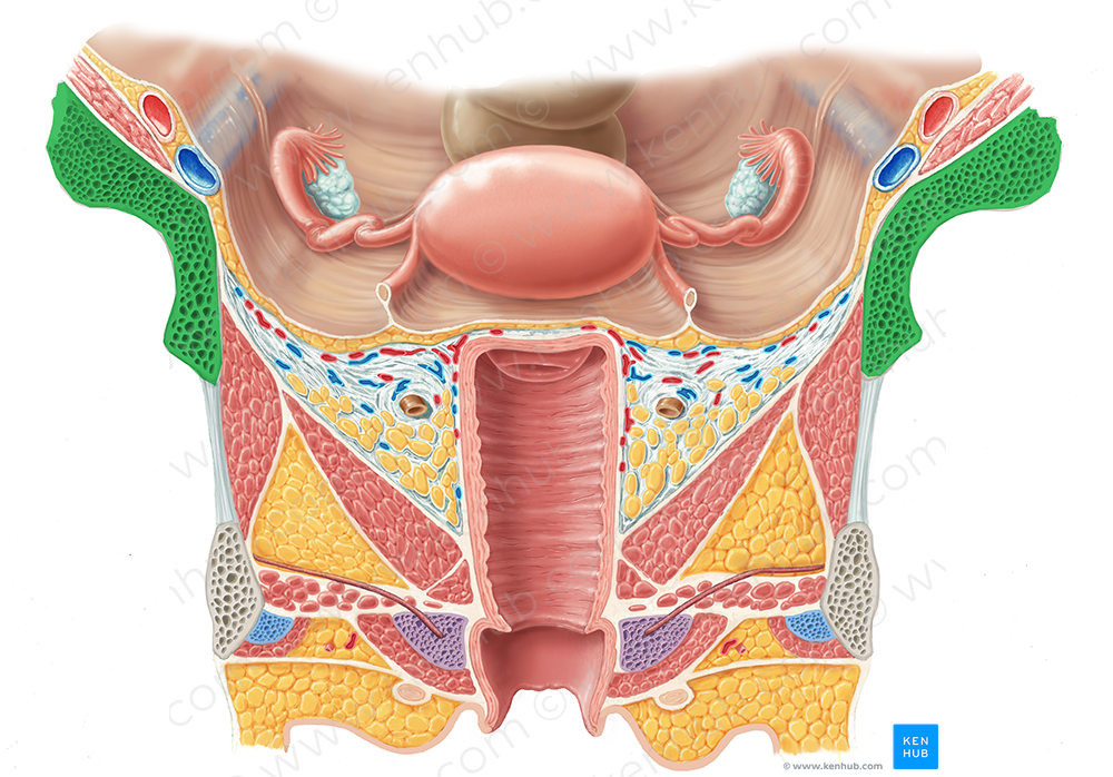 Ilium (#7401)