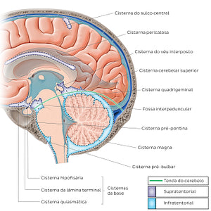 Subarachnoid cisterns of the brain (Sagittal) (Portuguese)