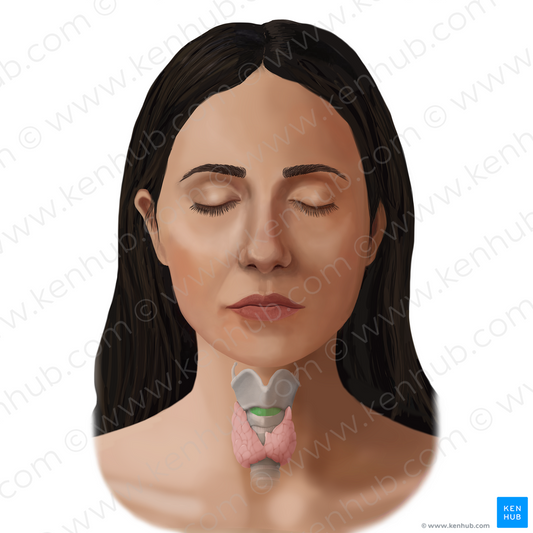 Cricothyroid ligament (#14107)