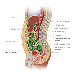 Peritonea relations (Portuguese)