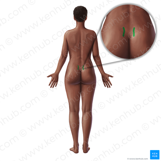 Sacroiliac joint (#21035)