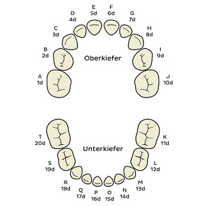 Universal Numbering System (deciduous teeth) (German)
