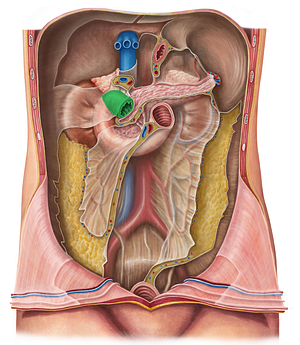 Superior part of duodenum (#7791)