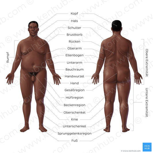 Regions of the body - Black male (German)