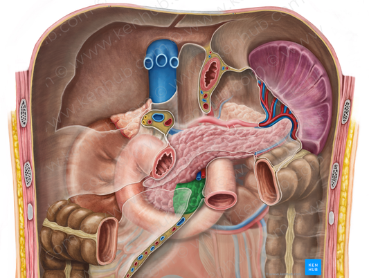 Uncinate process of pancreas (#8354)