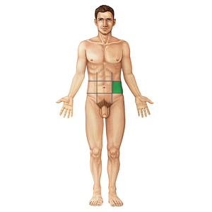 Left lateral region of abdomen (#19669)