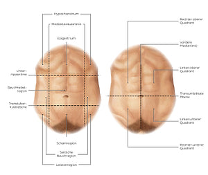 Regions of the abdomen (German)